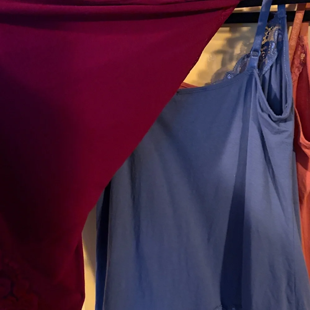 The Limited 4 Lace Camisoles - Picture 11 of 12